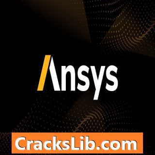 Ansys Crack