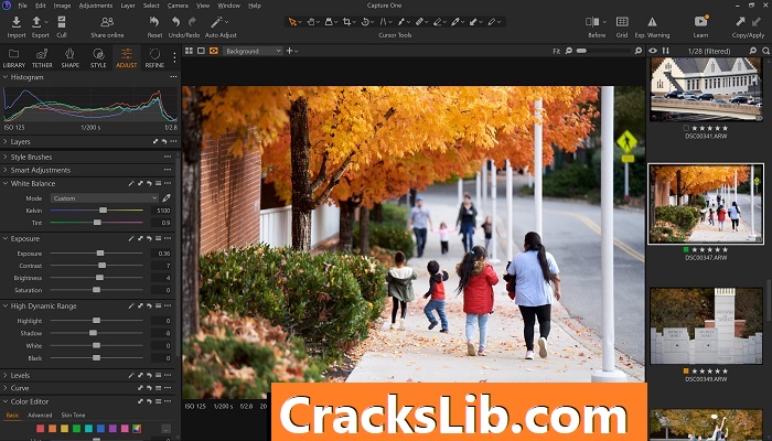 Capture One Pro License Key