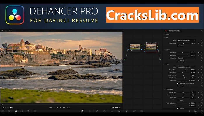 Dehancer Pro Activation Key