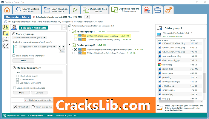 Duplicate Cleaner Pro License Key