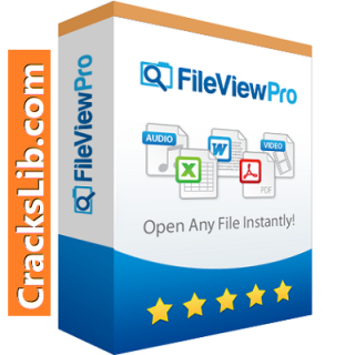 FileViewPro Crack