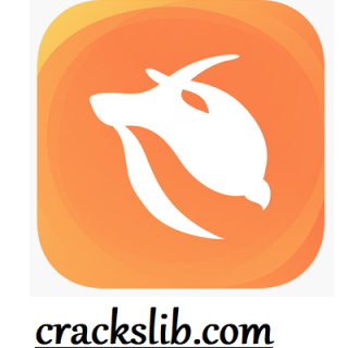 Turbo VPN Crack