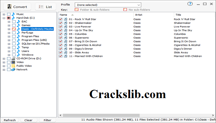 dBpoweramp Music Converter Crack