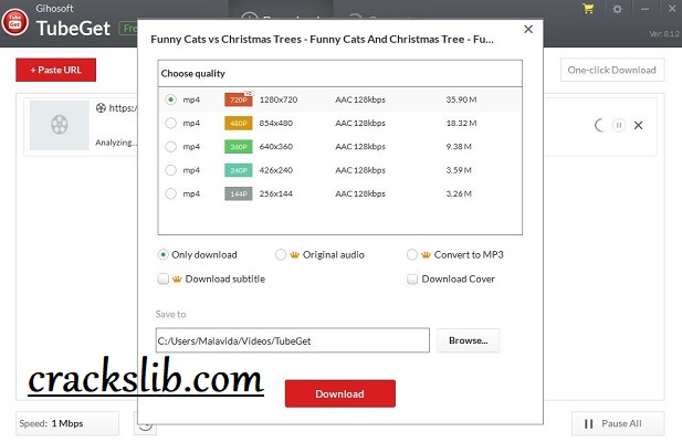 Gihosoft TubeGet Activation Key